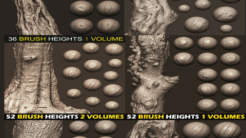 Z brush - Trunk Detail Brushes 6 Volumes