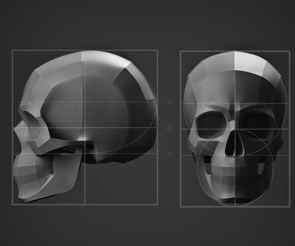 ArtStation - Planes Of The Human Skull | Resources