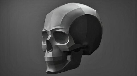 Planes of the Human Skull