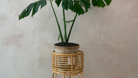 rattan flower pot stand