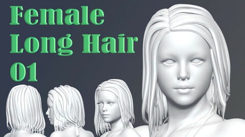 Female Long Hair 01