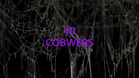40 High Detailed Cobwebs