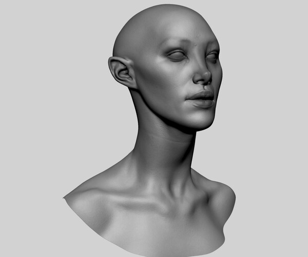 ArtStation - Female Head 14 | Resources