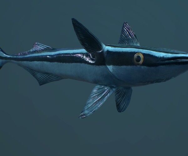 ArtStation - Remora Fish | Game Assets