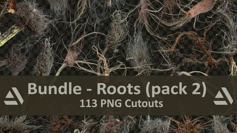 PNG Photo Pack: Roots (pack 2)
