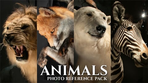 Animals-Photo Reference Pack- 140 JPEGs