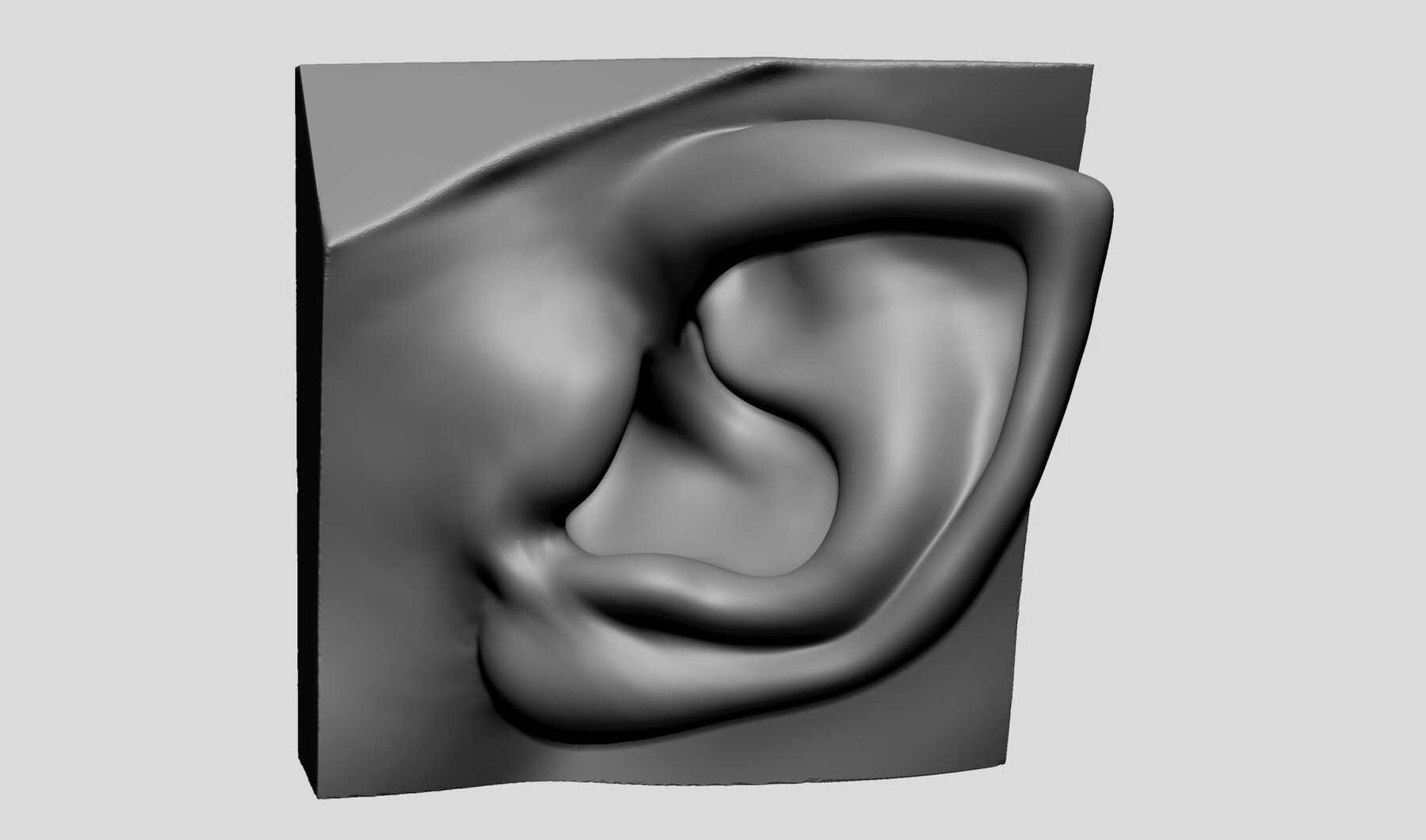 ArtStation - Ear Models | Resources