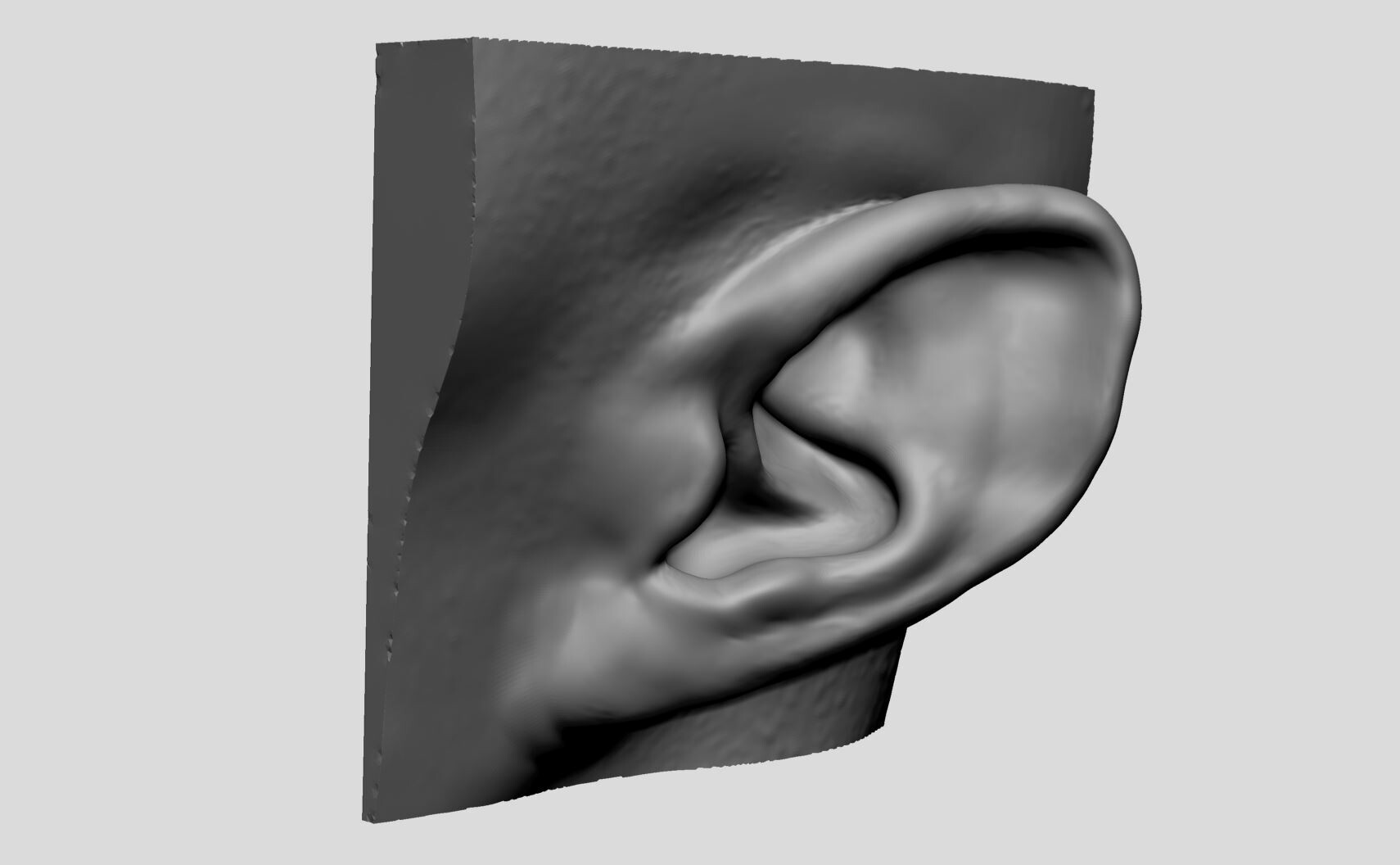 Artstation - Ear Models 