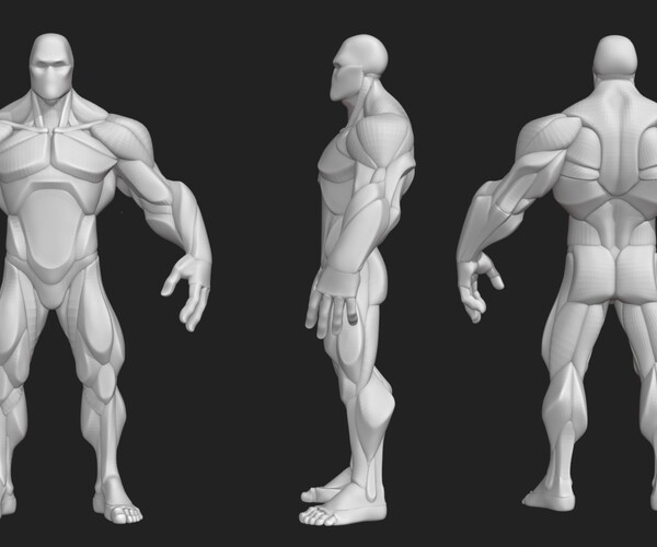 ArtStation - Stylized Hero Anatomy Blockout | Resources