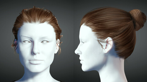 Realistic Female hair