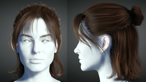 Realistic Female hair 2