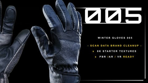 Winter Gloves 005