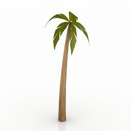 ArtStation - Resource-Interior-Exterior-Palm tree | Resources