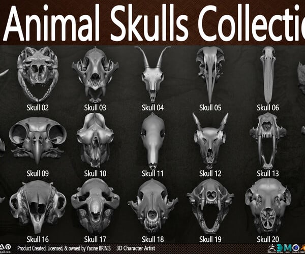 ArtStation - 20 Animal Skulls Collection 03 | Resources