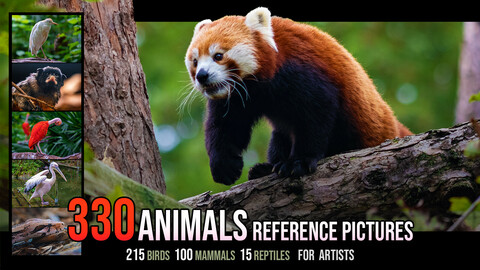 330 ANIMALS Reference pictures