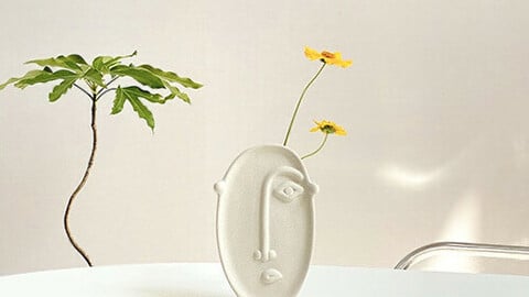 Art face vase