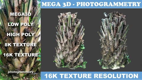 Low poly Oil Palm Trunk 02 - Photogrammetry