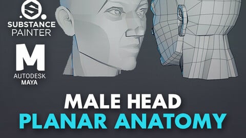 Character - Male Head Planar