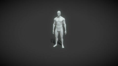 Male Body Base Mesh Animated and Rigged 3D Model 10k Polygons