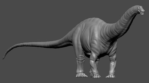 Dinosaur Basemesh 07