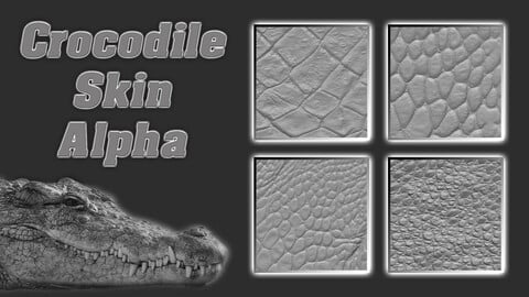 Crocodile Scale and Skin Alpha