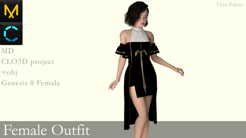 Female Outfit #1. Marvelous Designer / Clo 3D project +obj