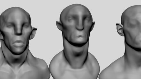 Base Creature Heads