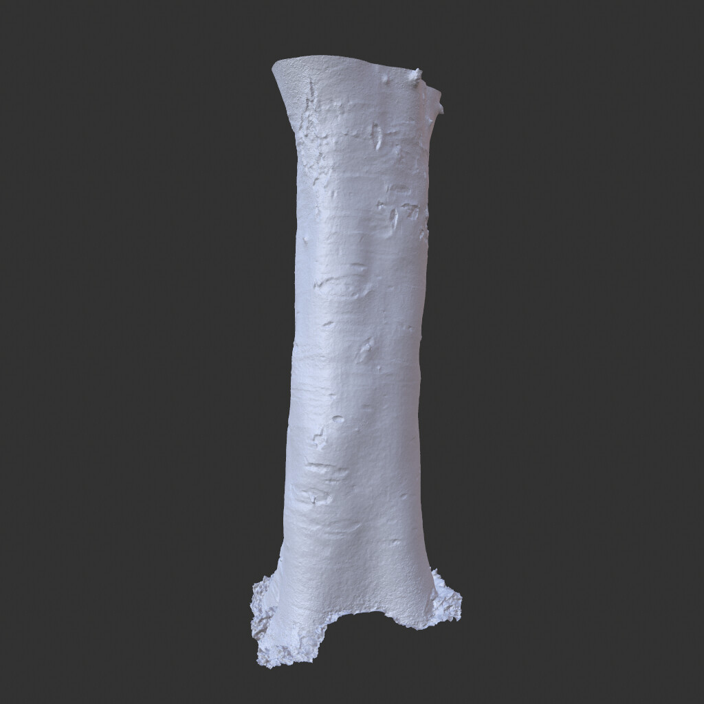 ArtStation - Low poly - High poly Trunk 02 - Photogrammetry | Game Assets