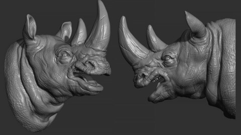 Rhinoceros angry head