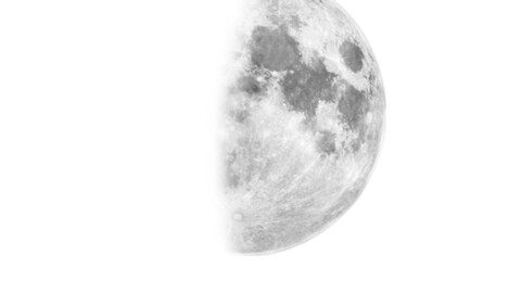 HALF MOON BRUSH