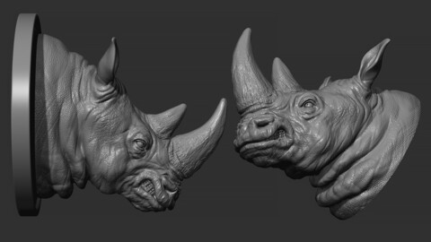 Rhinoceros grin head