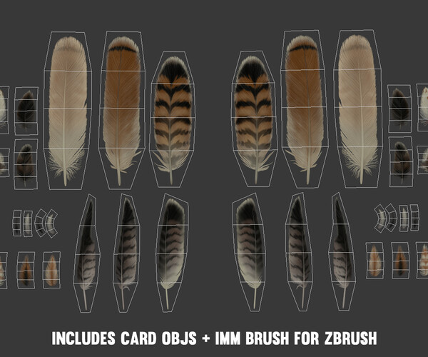 ArtStation - Red-Tailed Hawk Feathers Texture Pack + IMM