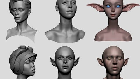 Stylized Female Head Bundle