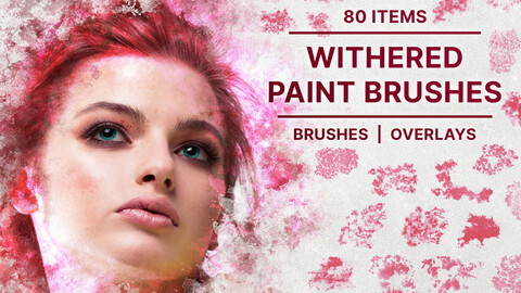 Withered Paint Brushes