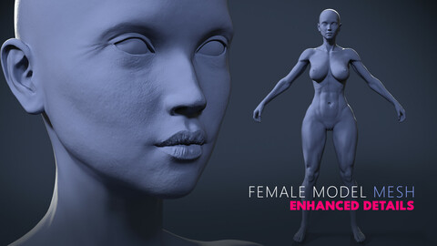 Female Base Mesh with Enhanced Details 3D model
