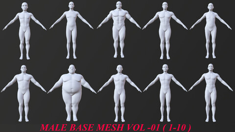 10 MALE BASE MESH 1-10