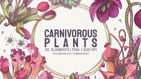 Carnivorous Plants Clipart Collection