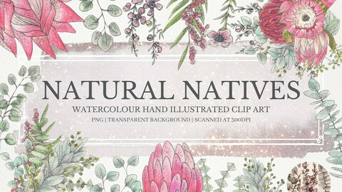 Natural Natives Clipart Collection