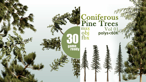 30 Coniferous Pine Trees VOL 01