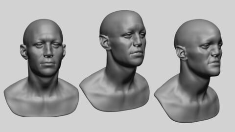 Speed Sculpt - Male Head