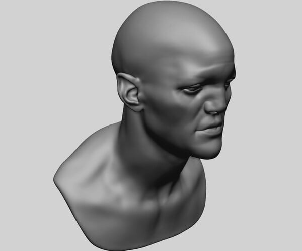 ArtStation - Speed Sculpt - Male Head | Resources