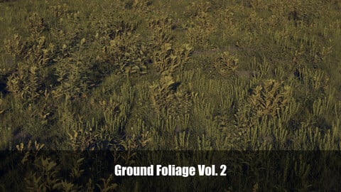 Ground Foliage - Vol. 2 (Unity Package included)