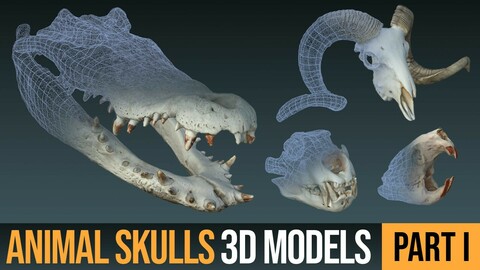 Animal Skulls 3D Models (OBJ)