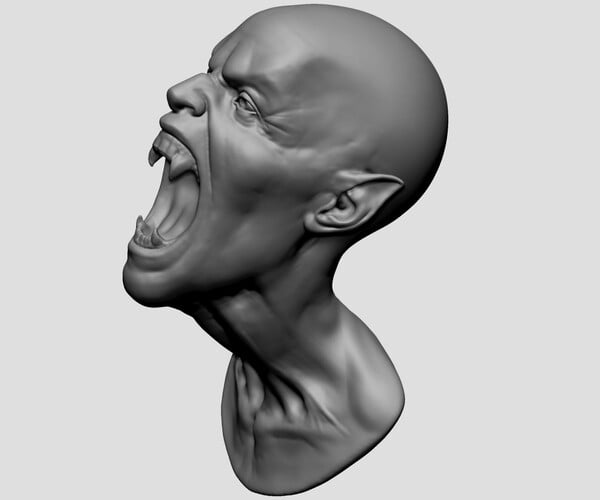 ArtStation - Creature Head B | Resources