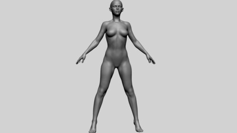 Base Female Anatomy A