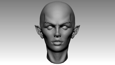 Stylized Female Elf Head V.1