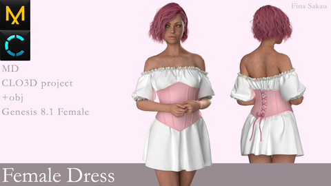 Female Dress #5. Marvelous Designer / Clo 3D project +obj