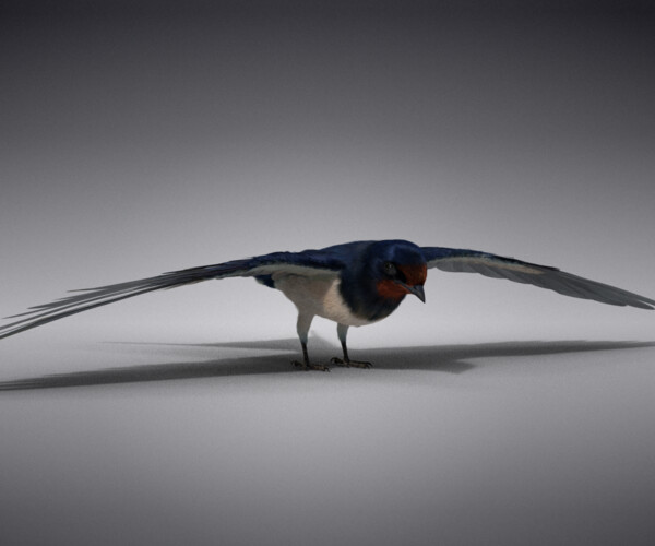 ArtStation - Barn Swallow Animated | VFX Grace | Game Assets