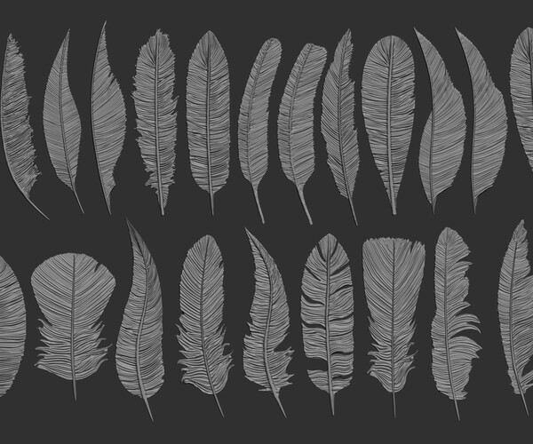 ArtStation - 26 Feathers 3d model ZTL,OBJ,STL,FBX | Resources