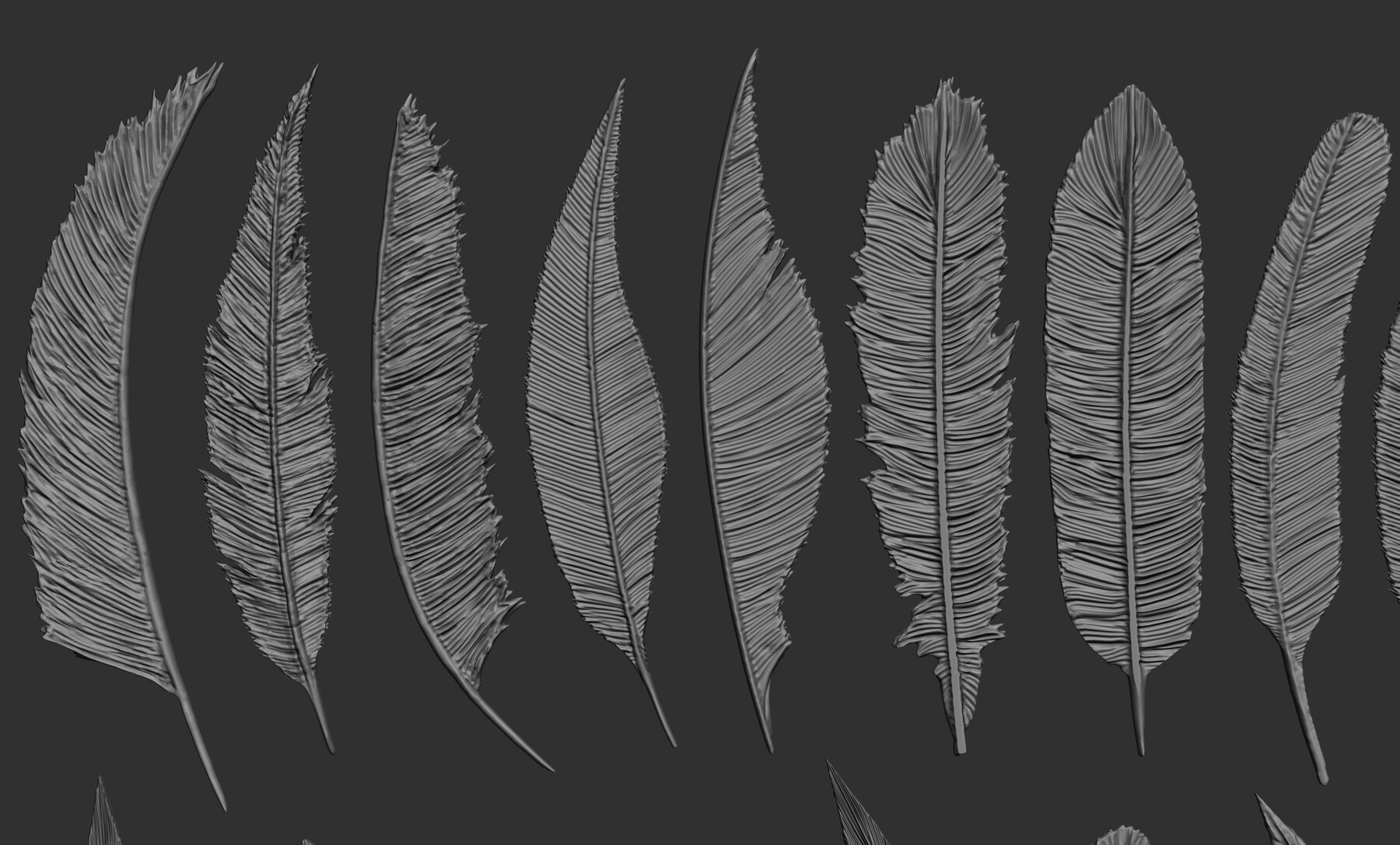 ArtStation - 26 Feathers 3d model ZTL,OBJ,STL,FBX | Resources